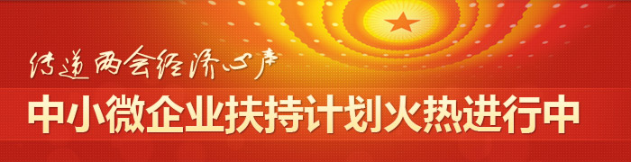 传递两会经济心声 中小微企业扶持计划火热进行中